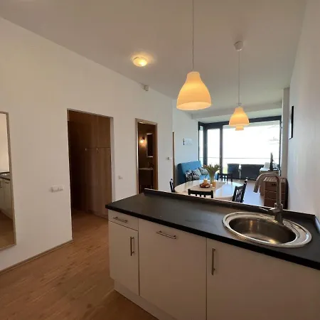 Amp - * 시오포크