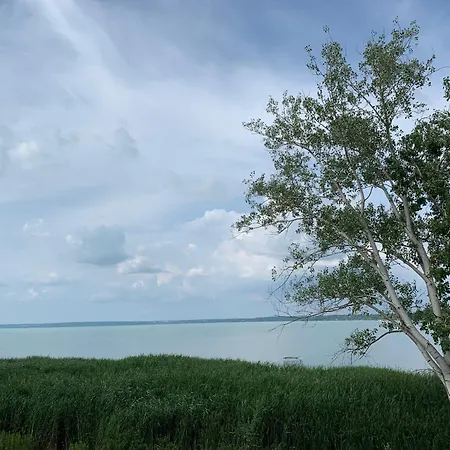 Amp - * 시오포크