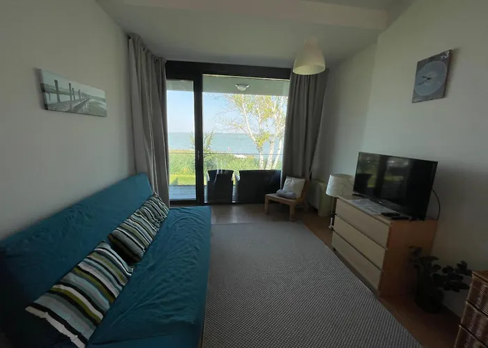 Amp - * シオーフォク